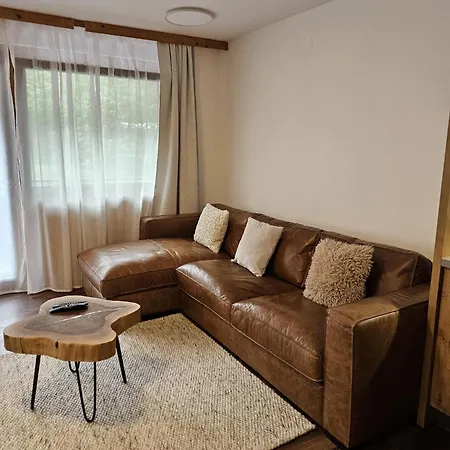 Διαμέρισμα Nava Place Premium Alpine In - Private Sauna, Peaceful Location, Near Glacier & Wifi